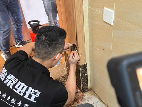 白蟻怎么消滅？教你幾個方法